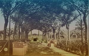 Rio Salado 509- Square et pergola